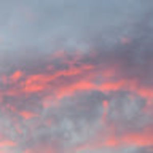 Meet your Posher, Eliana